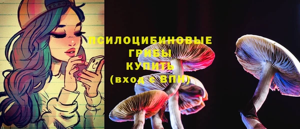 дживик Зерноград