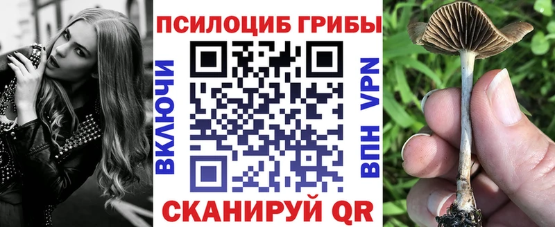 Галлюциногенные грибы Psilocybine cubensis  Купить где  Вытегра 